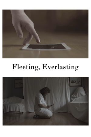 Fleeting, Everlasting's poster