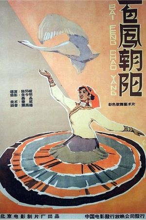 百凤朝阳's poster