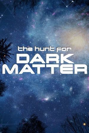 The Hunt for Dark Matter's poster