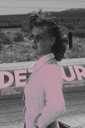 Detour's poster