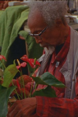 Graves in the Garden's poster