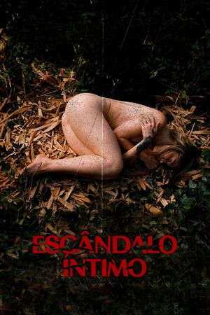 Escândalo Íntimo - O Filme's poster image