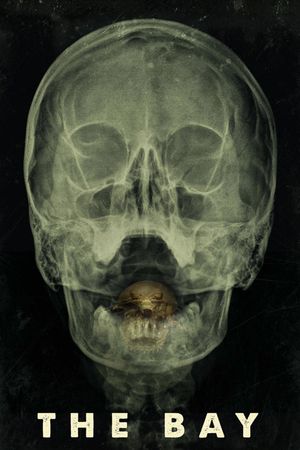 The Bay's poster