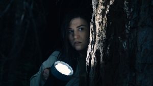 Stranger in the Woods's poster