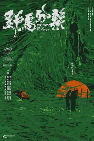 Striding Into the Wind's poster