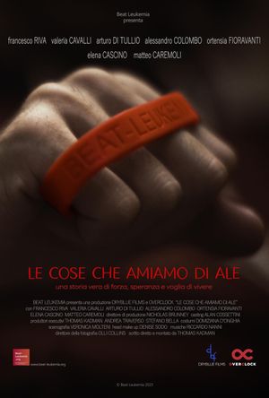 Le cose che amiamo di Ale's poster