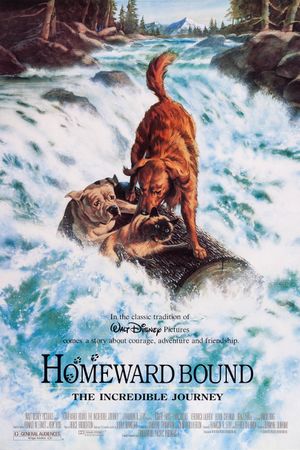 Homeward Bound: The Incredible Journey's poster