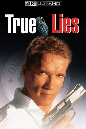 True Lies's poster