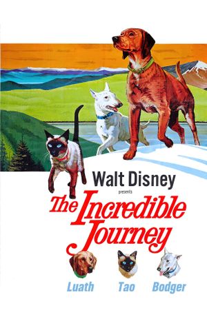 The Incredible Journey's poster