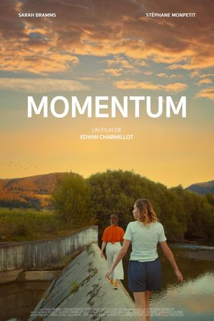 Momentum's poster image