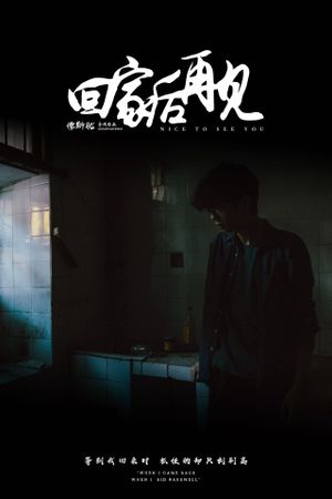回家后再见's poster