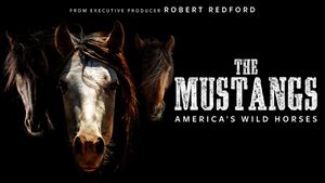 The Mustangs: America's Wild Horses's poster