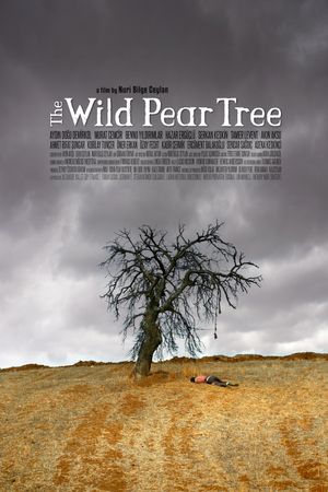 The Wild Pear Tree's poster