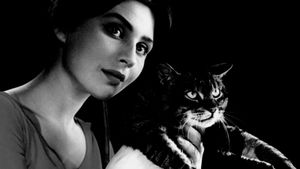When the Cat Comes's poster