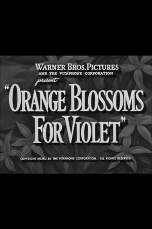 Orange Blossoms for Violet's poster