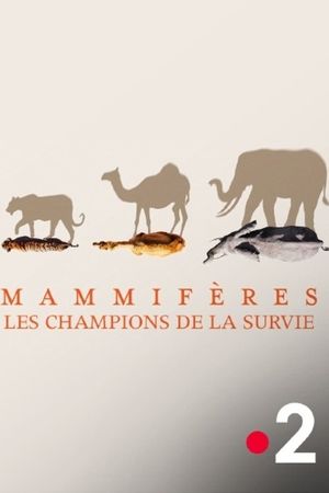 Mammifères, les champions de la survie's poster