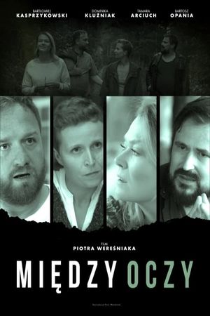 Head Shot's poster