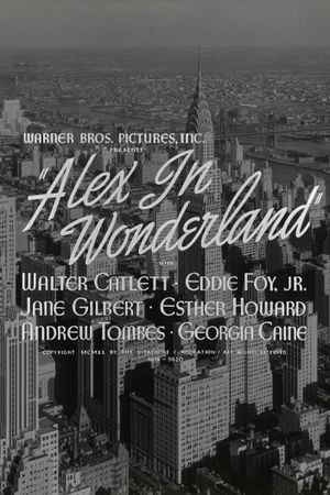 Alex in Wonderland's poster