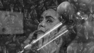 The Wasp Woman's poster