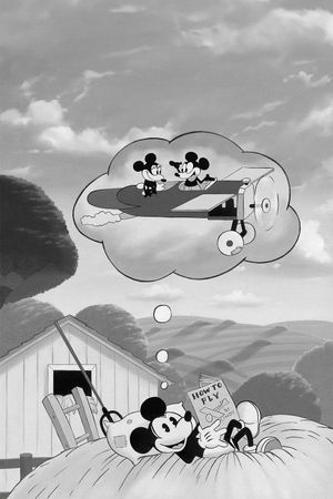 Plane Crazy's poster