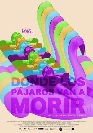 Donde los pájaros van a morir's poster