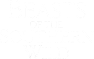 Beasts of the Southern Wild's poster