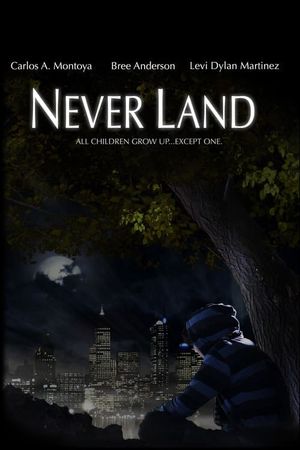 Never Land's poster