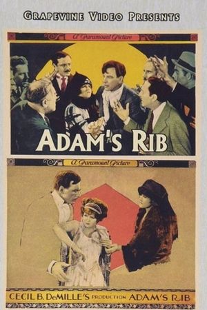 Adam's Rib's poster