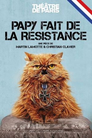 Papy fait de la résistance's poster