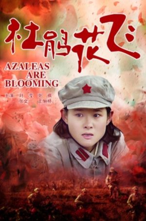杜鹃花飞's poster