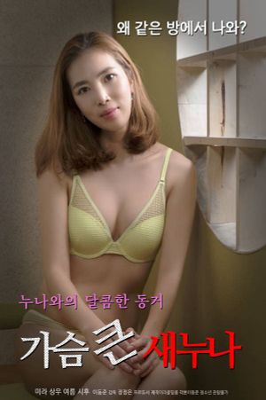 Big Breasts Sister's poster image