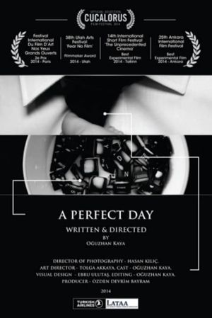 A Perfect Day's poster