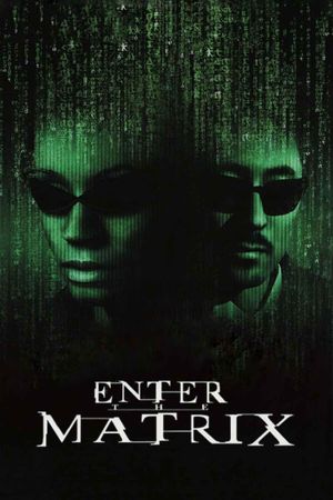 Making 'Enter the Matrix''s poster