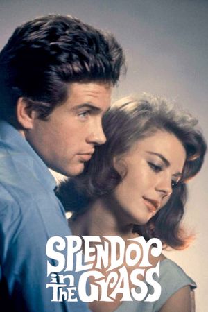 Splendor in the Grass's poster