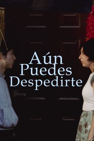 Aún puedes despedirte's poster