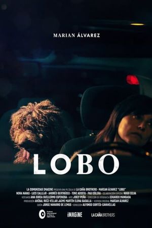 Lobo's poster