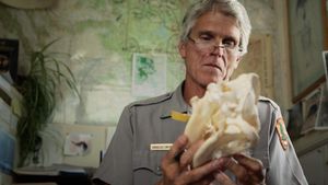 The Trouble with Wolves's poster