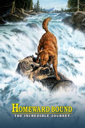Homeward Bound: The Incredible Journey's poster