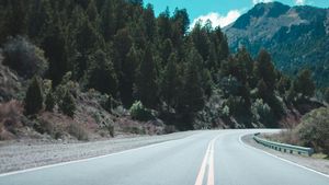 Road Trip's poster