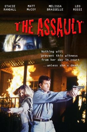 The Assault's poster