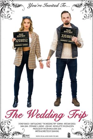 The Wedding Trip's poster