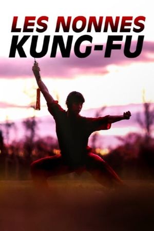 Les nonnes kung-fu : bouddhistes et féministes's poster