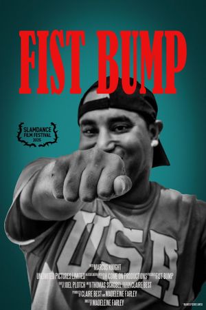 Fist Bump's poster
