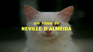 The Seven Kittens's poster