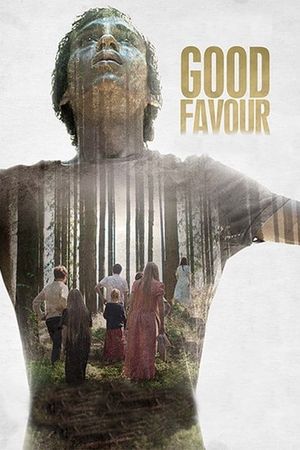 Good Favour's poster