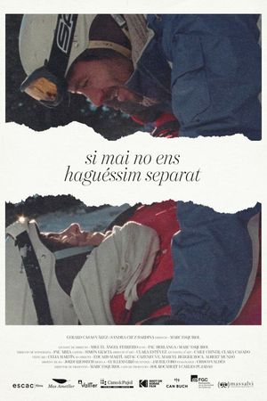 Si mai no ens haguéssim separat's poster