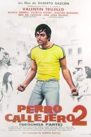 Perro callejero II's poster