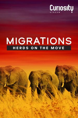 Migrations: Herds on the Move's poster image