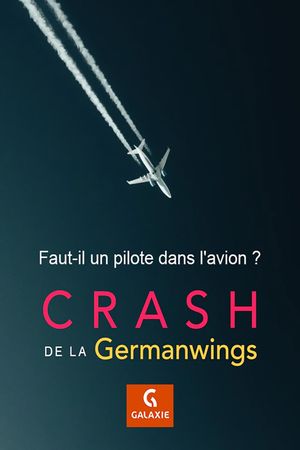 Faut-il un pilote dans l'avion ?'s poster