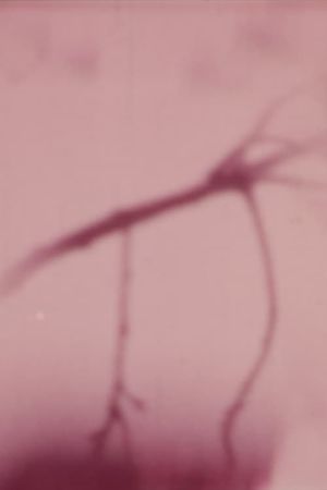Flight's poster
